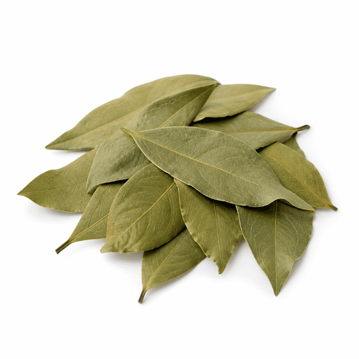 Bay leaves ingredient identification photo