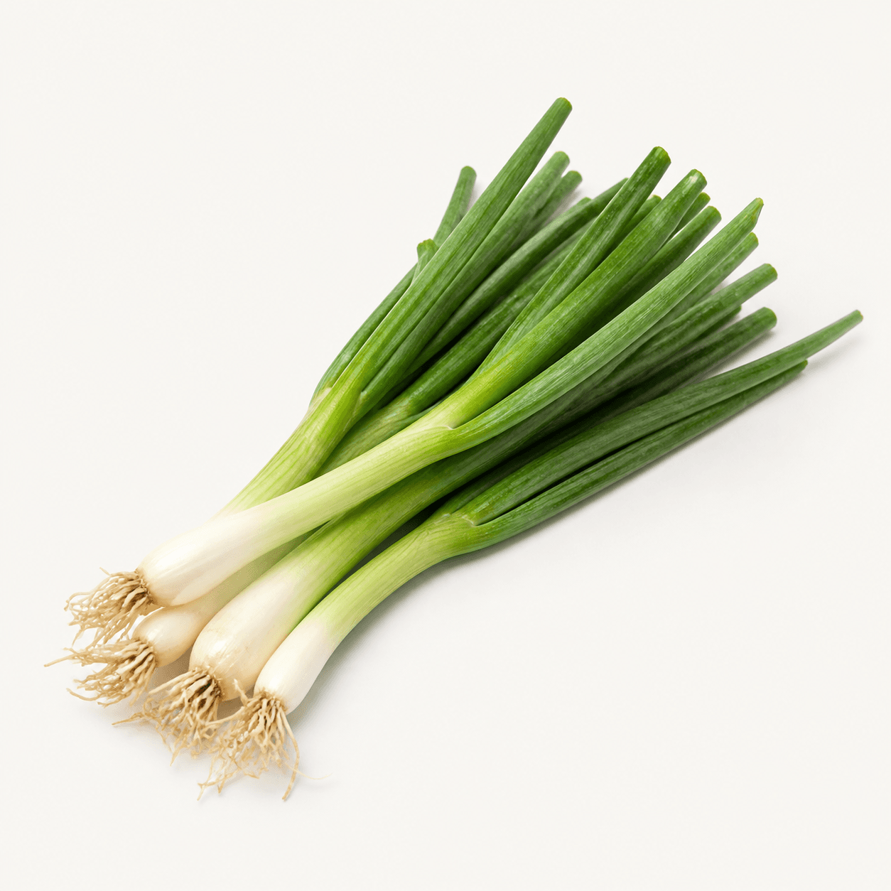 Green onion ingredient identification photo