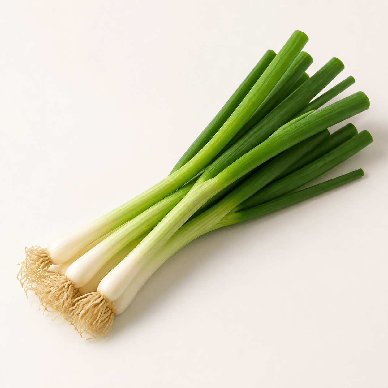 Scallion ingredient identification photo
