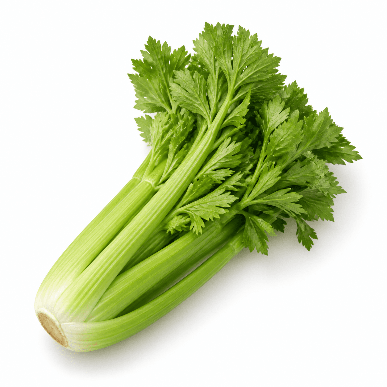 Celery ingredient identification photo