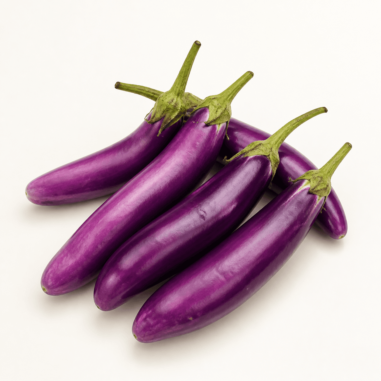 Chinese eggplant identification photo