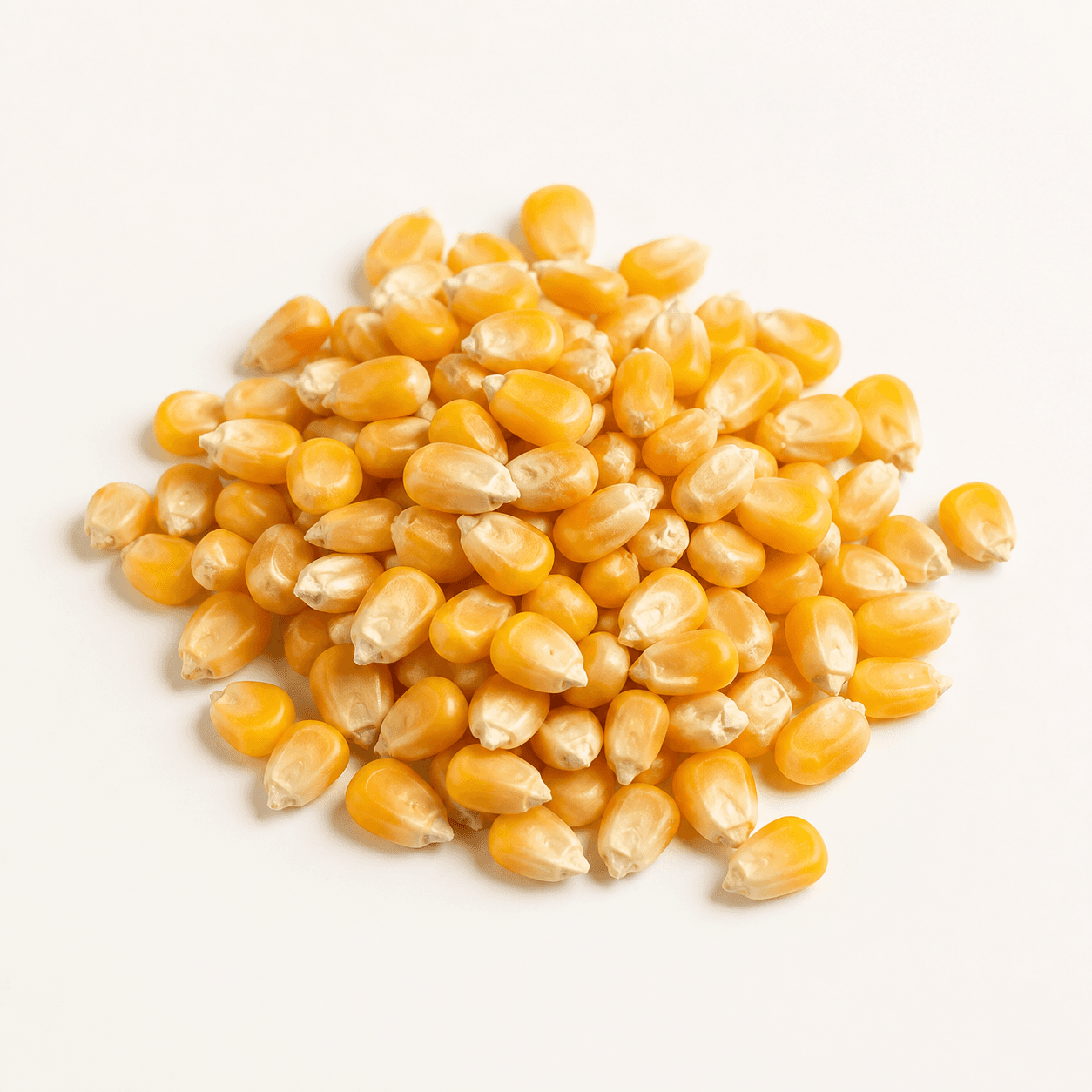 Corn kernels ingredient identification photo