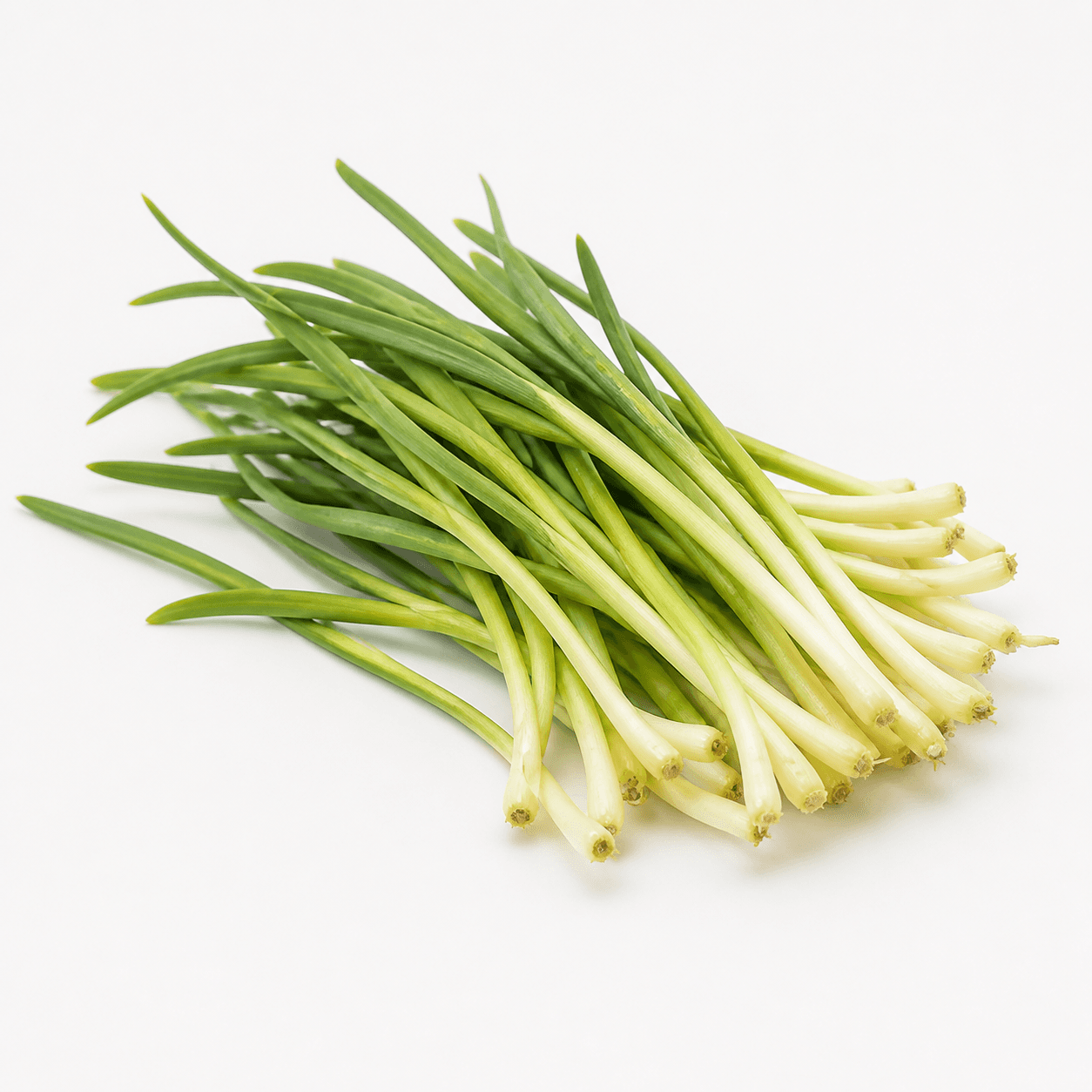 Garlic sprouts ingredient identification photo