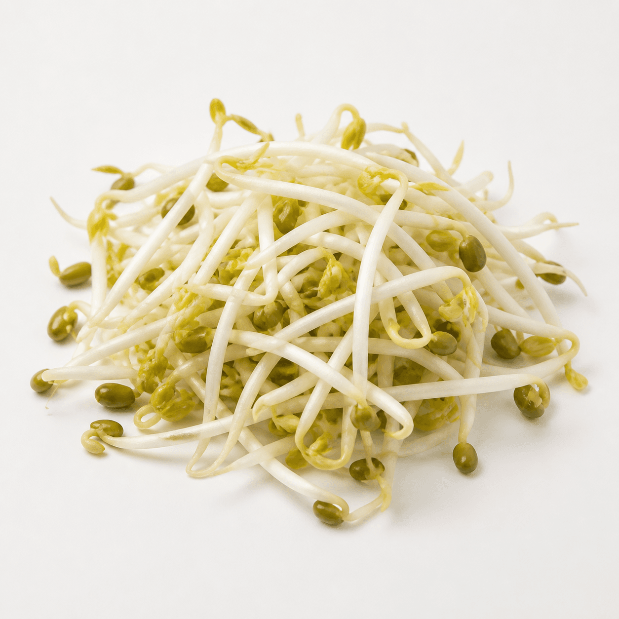 Mung bean sprouts ingredient identification photo