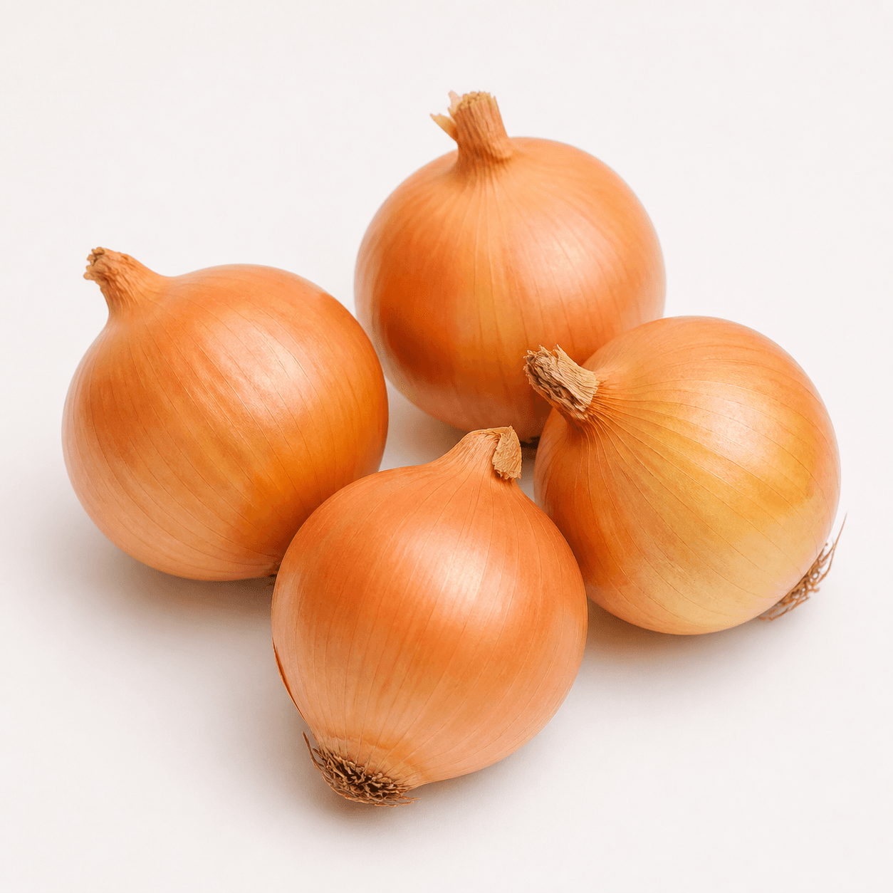 Yellow onion ingredient identification photo