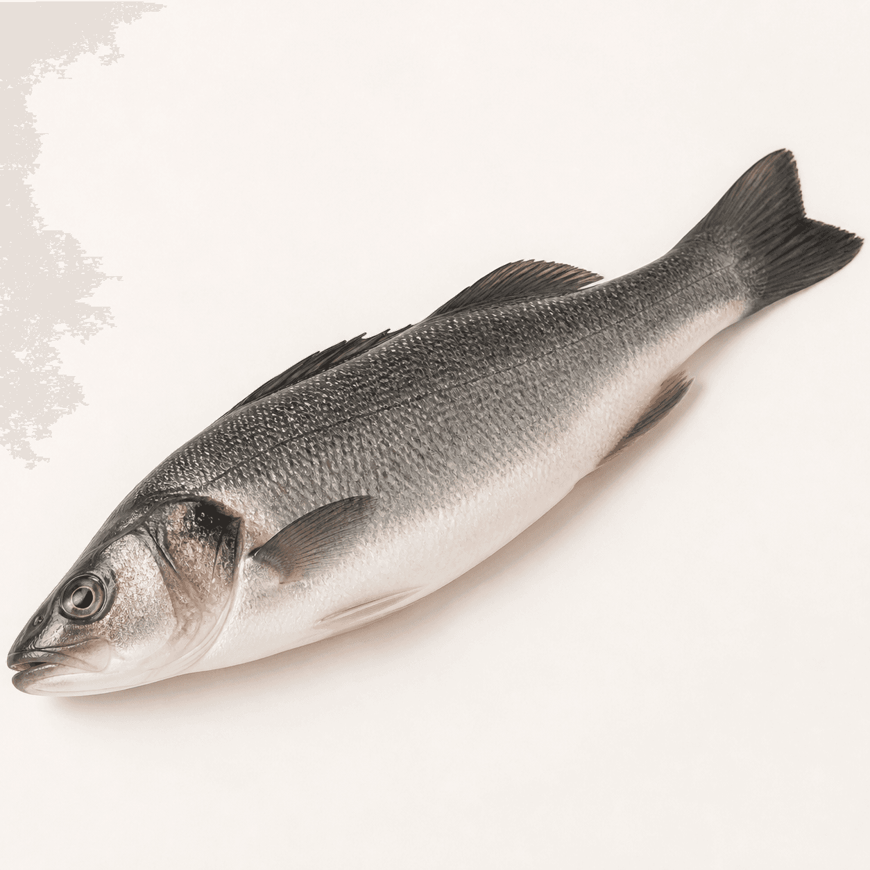 sea bass ingredient