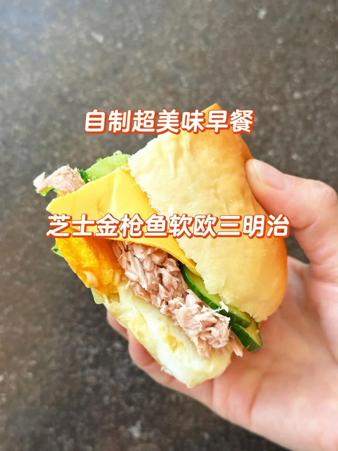 Cheese Tuna Sandwich