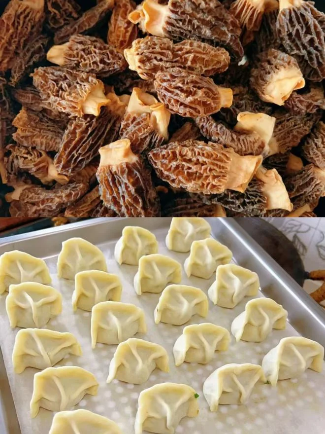 Wild Morel Mushroom & Pork Dumplings