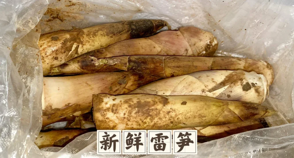 How to Preserve Fresh Spring Bamboo Shoots