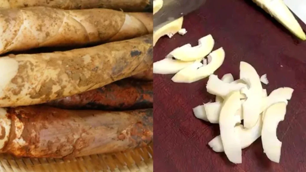 Pickled Mustard Greens, Fava Beans and Spring Bamboo Shoots