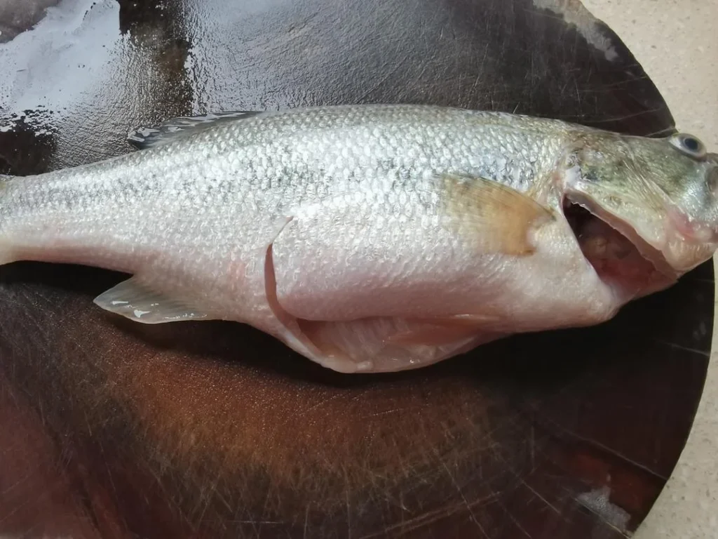Pan-Fried Sea Bass Chunks