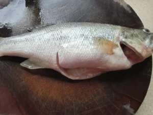 Pan-Fried Sea Bass Chunks
