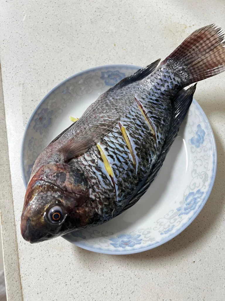 Braised Tilapia