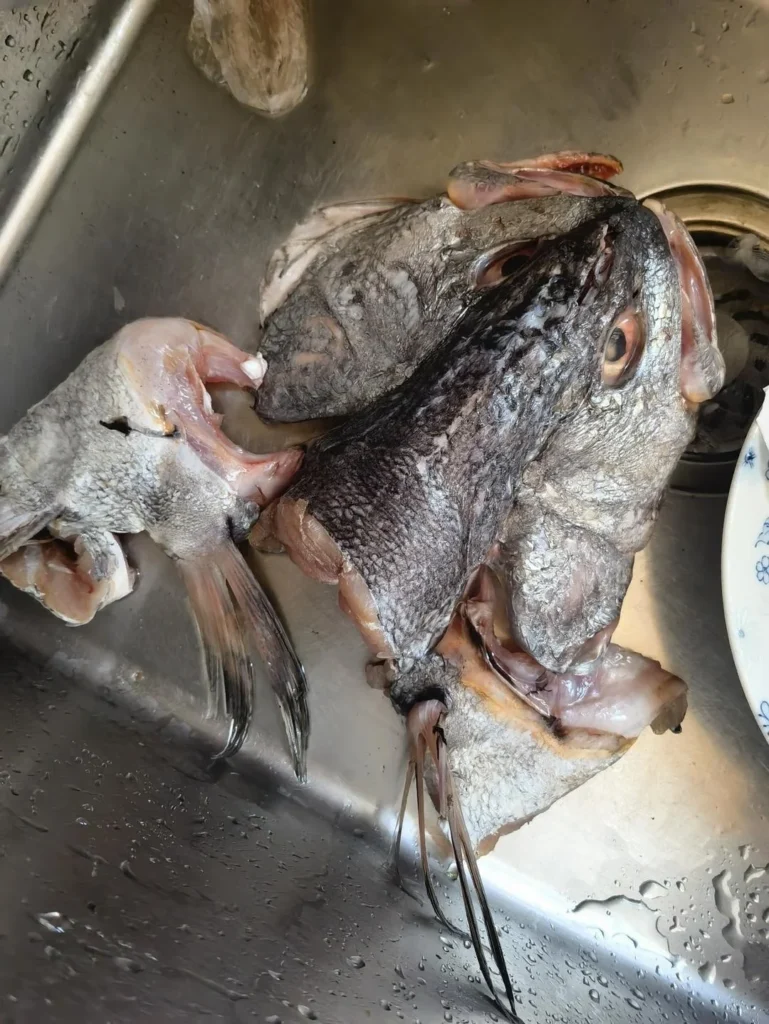 Wenzhou-Style Braised Miányú Fish Head with Tofu
