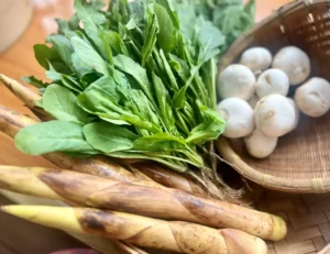 Shepherd’s Purse, Bamboo Shoot and Mushroom Dumplings