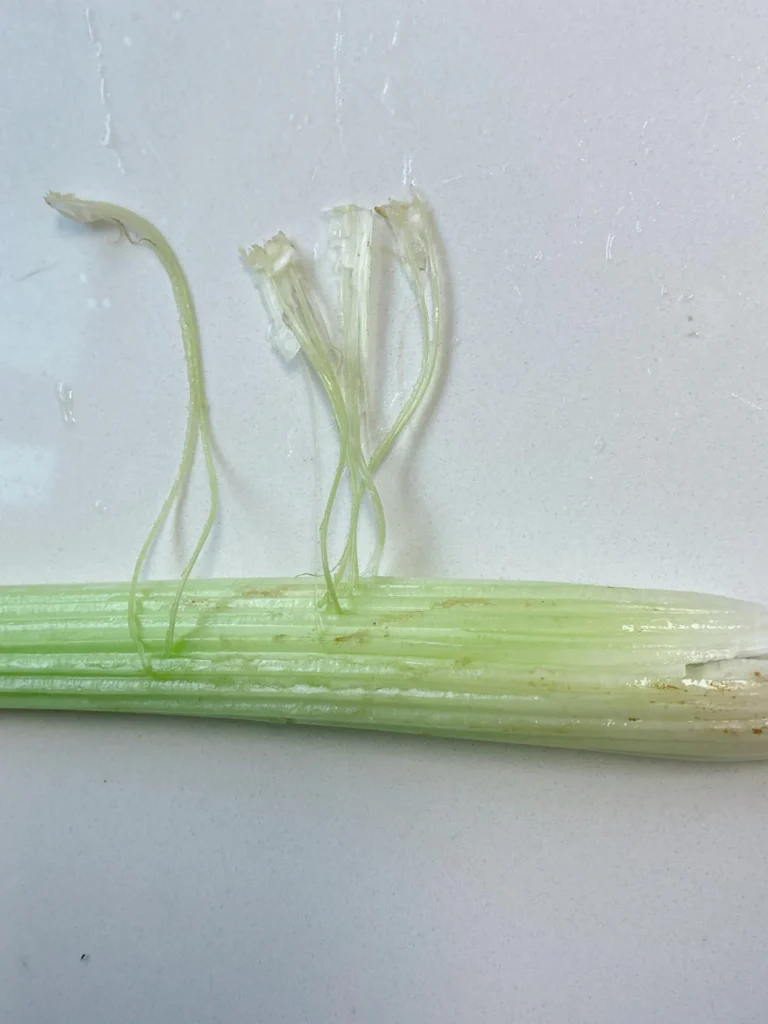Celery and Walnut Salad