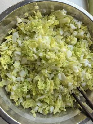 Pork and Cabbage Dumplings