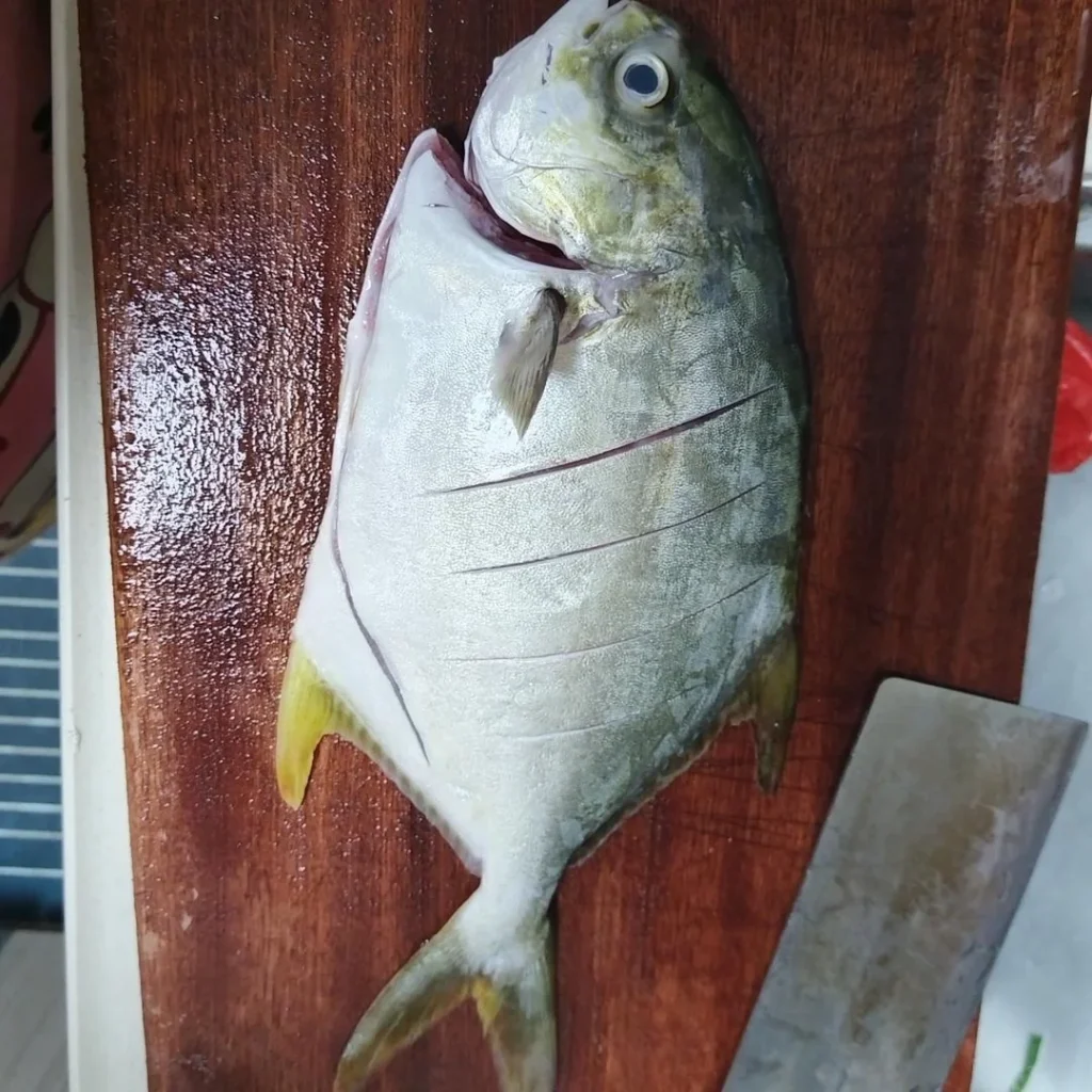 Braised Golden Pomfret