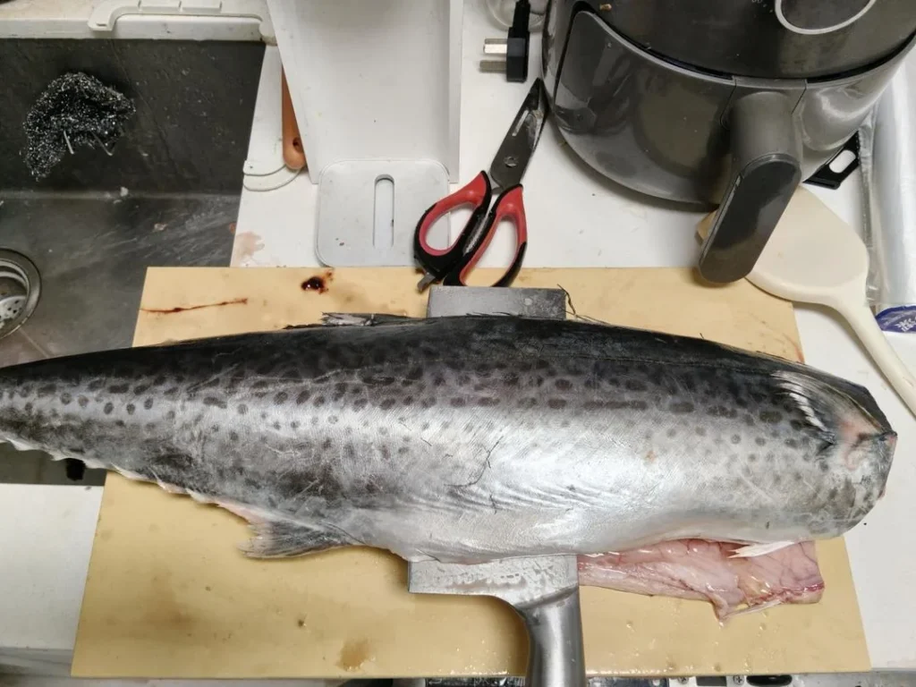 Spanish Mackerel Dumplings — From Sea to Table