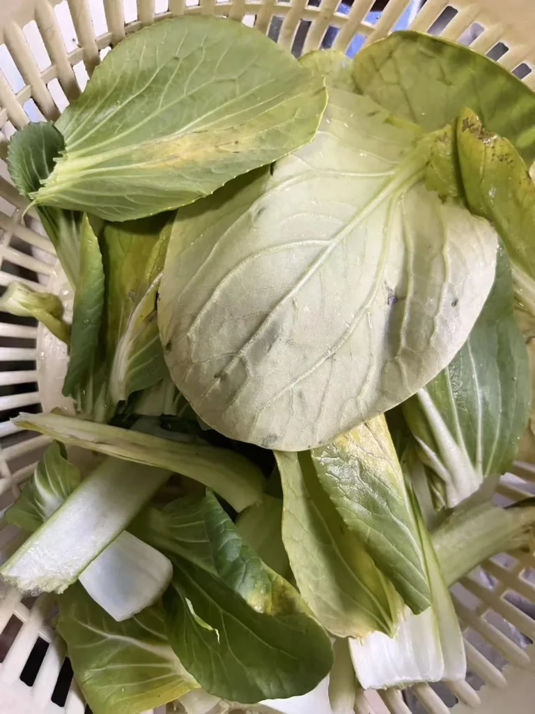 Quick-Fried Baby Bok Choy with Garlic and Chili