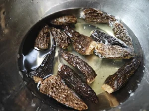 Morel Mushroom and Beef Fried Rice