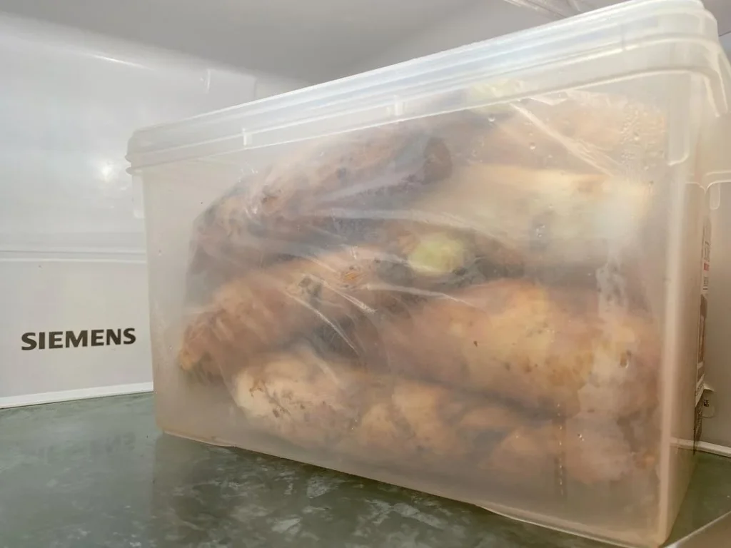 Spring Bamboo Shoots: Storage and Cooking Guide