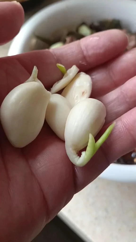 Yak Beef Braised Noodles