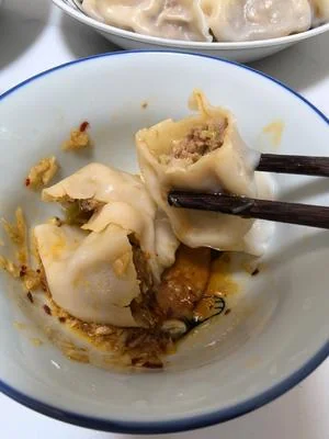 Pork and Cabbage Dumplings