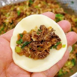 Wild Morel Mushroom & Pork Dumplings