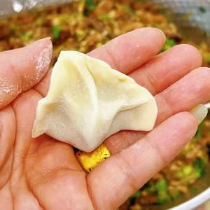 Wild Morel Mushroom & Pork Dumplings