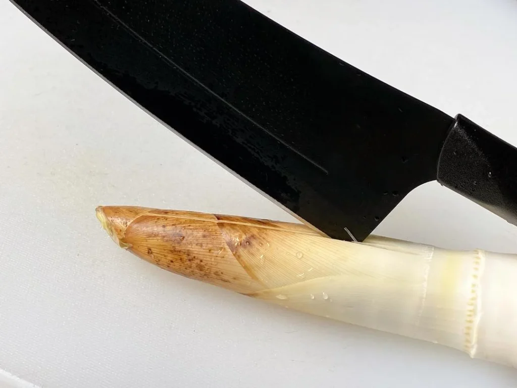 Spring Bamboo Shoots: Storage and Cooking Guide