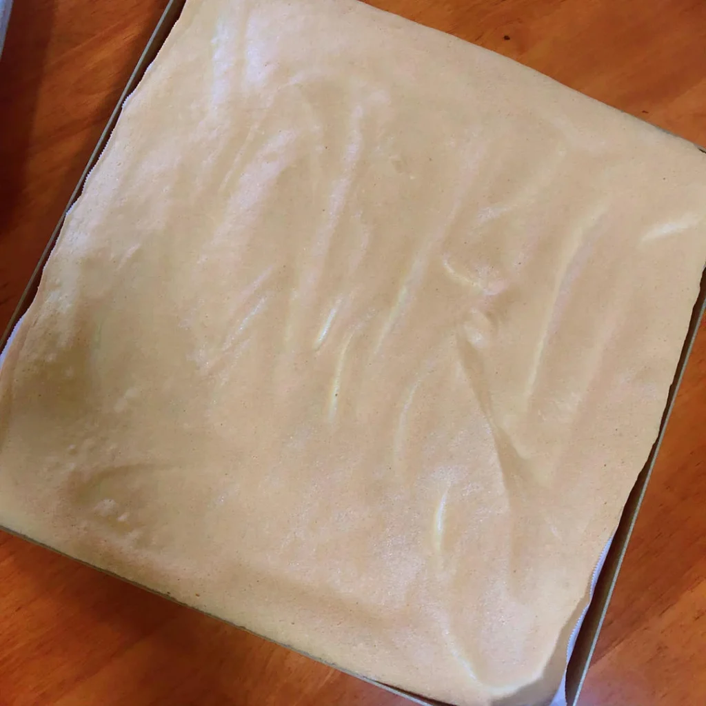 Mango Cake Mochi Snow Skin Mochi