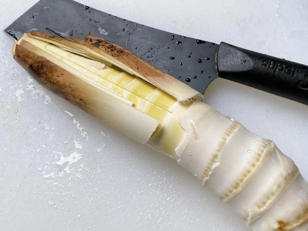 Spring Bamboo Shoots: Storage and Cooking Guide