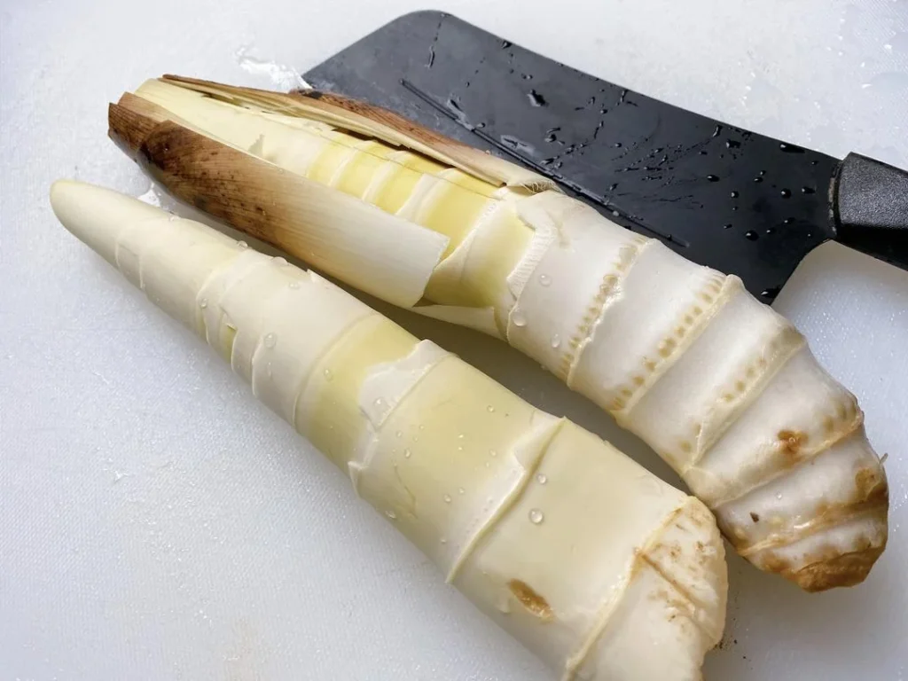 Spring Bamboo Shoots: Storage and Cooking Guide