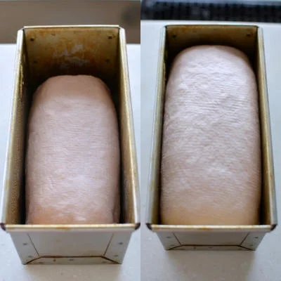 No Matter How Many Times You Slice It, It’s Still Panda Bread 🐼