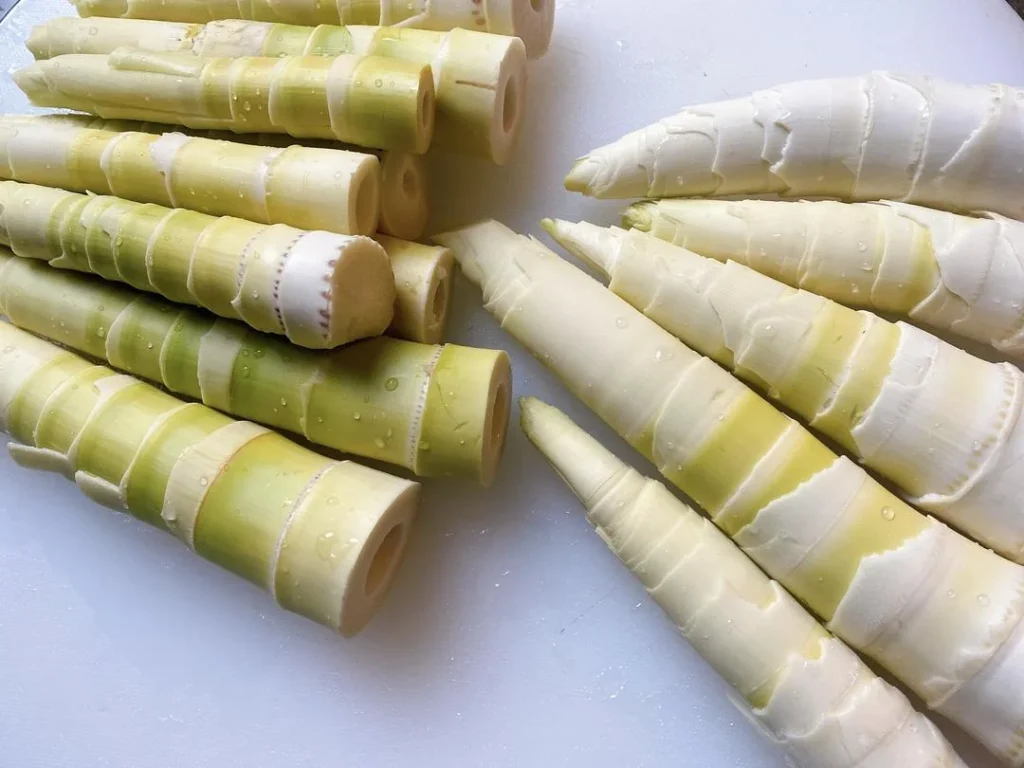 Spring Bamboo Shoots: Storage and Cooking Guide