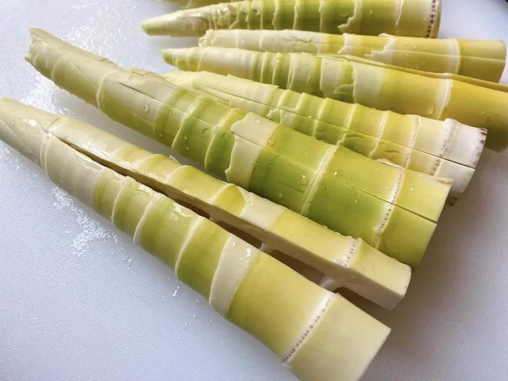Spring Bamboo Shoots: Storage and Cooking Guide