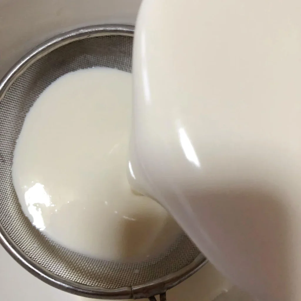 Mango Cake Mochi Snow Skin Mochi