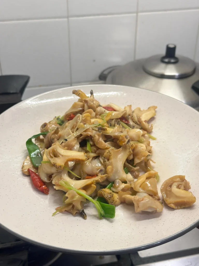 49 Home-Style Dishes Collection