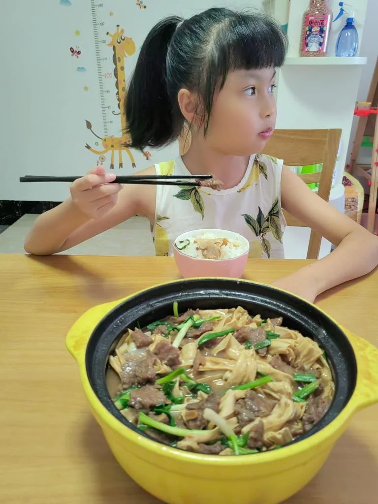 Braised Beef with Dried Tofu Sticks