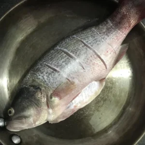 Braised Sea Bass