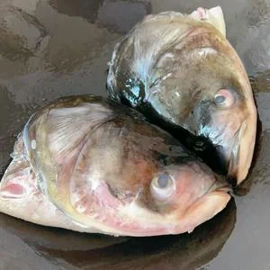 Black Tofu Pudding & Fish Head Casserole (River Fresh Soup)