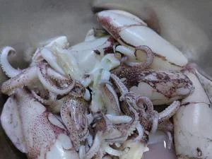 Mint and Herb Squid