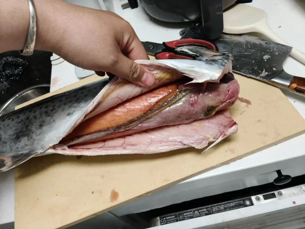 Spanish Mackerel Dumplings — From Sea to Table