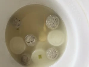 Beef Meatball and Daikon Radish Soup