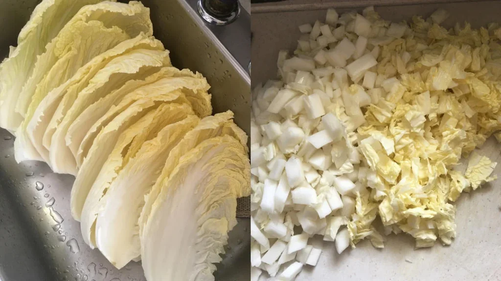 Pork and Napa Cabbage Wontons