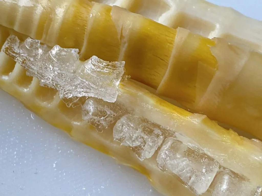 Spring Bamboo Shoots: Storage and Cooking Guide