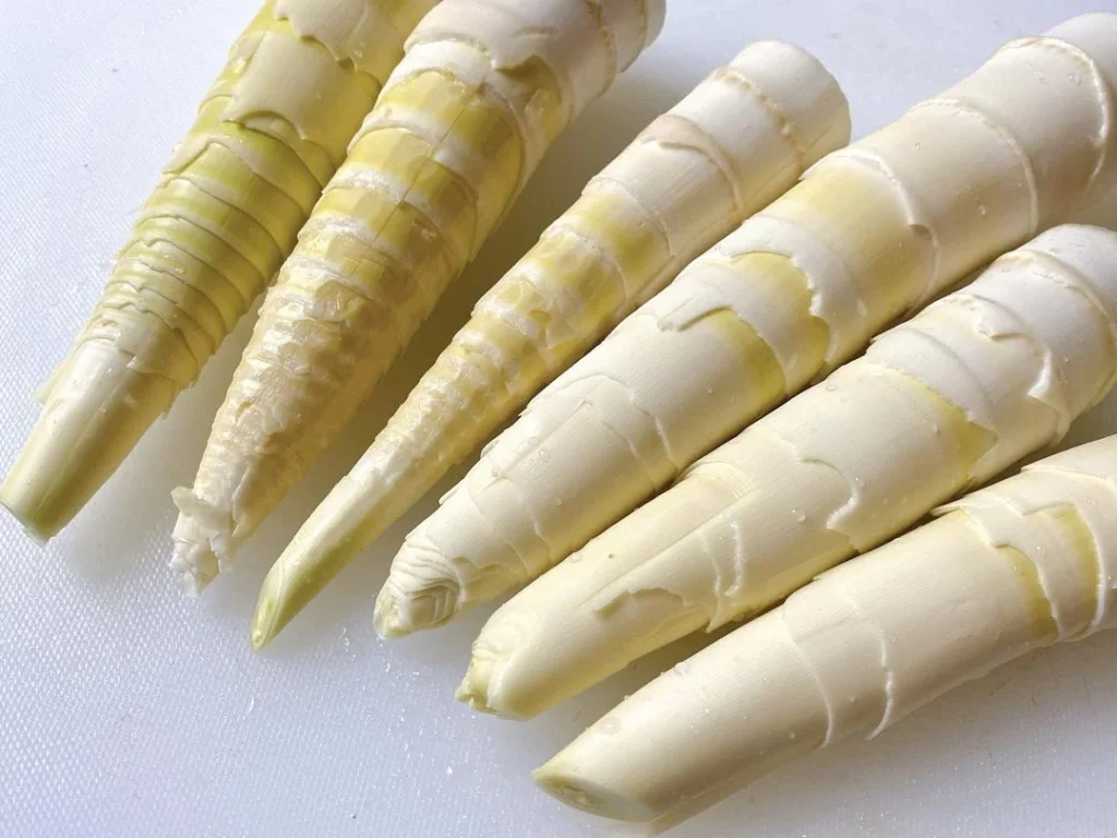 Spring Bamboo Shoots: Storage and Cooking Guide