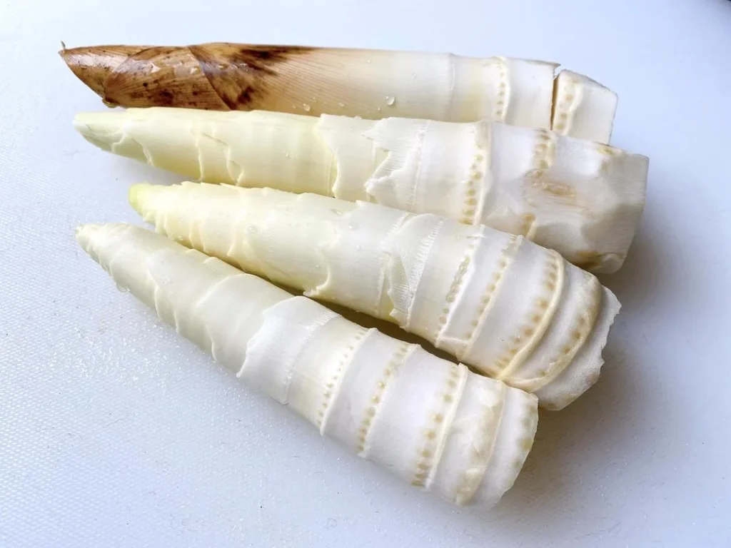 Spring Bamboo Shoots: Storage and Cooking Guide