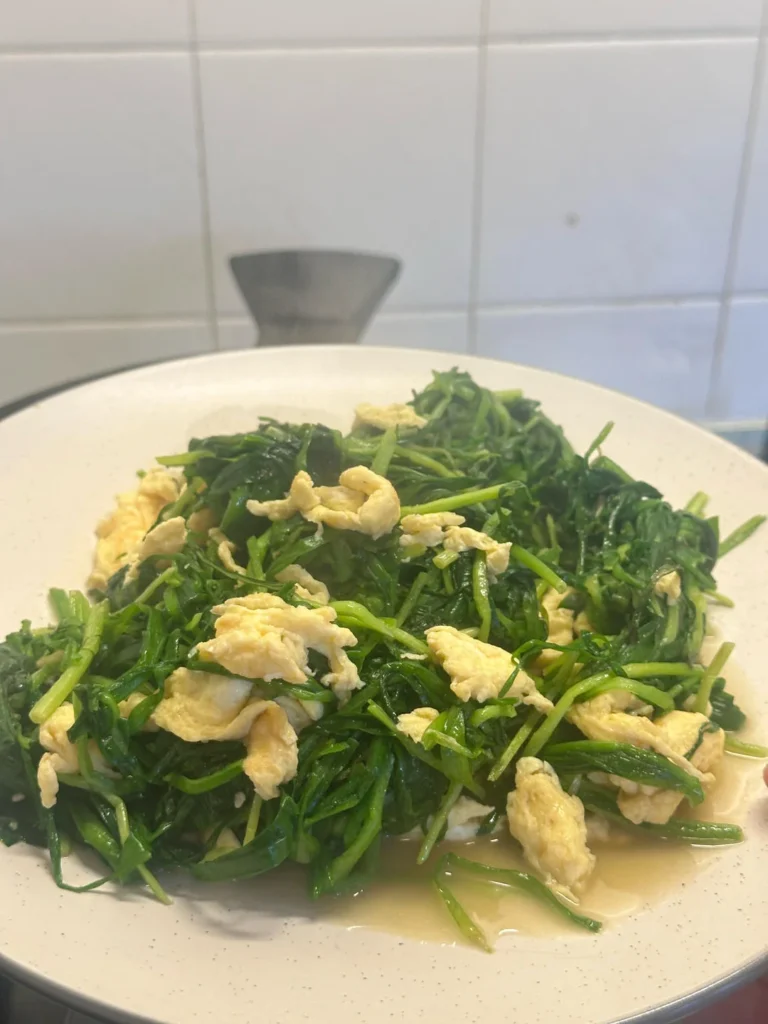 49 Home-Style Dishes Collection